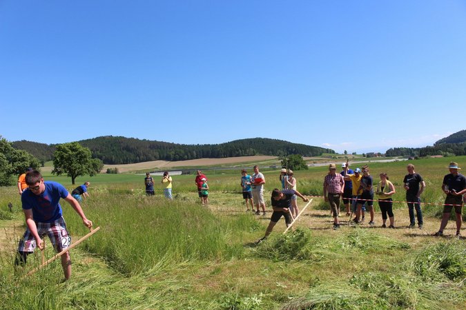 Bezirksentscheid Mähen 2