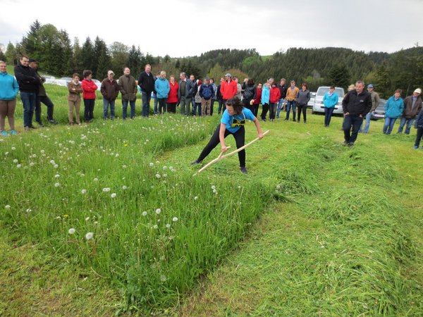 BZE Mähen 2016 Bewerb